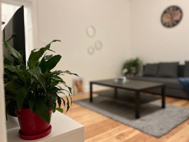 Cosy Rent-Strasbourg Gare 1-Wifi Apartment Ngoại thất bức ảnh
