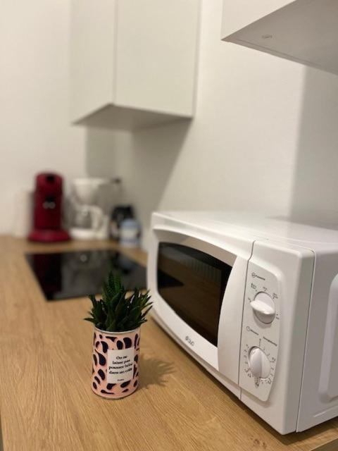 Cosy Rent-Strasbourg Gare 1-Wifi Apartment Ngoại thất bức ảnh