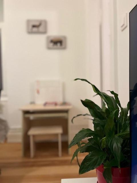 Cosy Rent-Strasbourg Gare 1-Wifi Apartment Ngoại thất bức ảnh